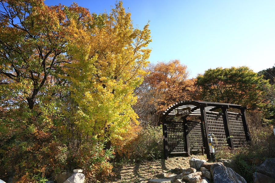 단풍 구경 가을에 걷기 좋은 길, 북한산둘레길 10 ~11구간