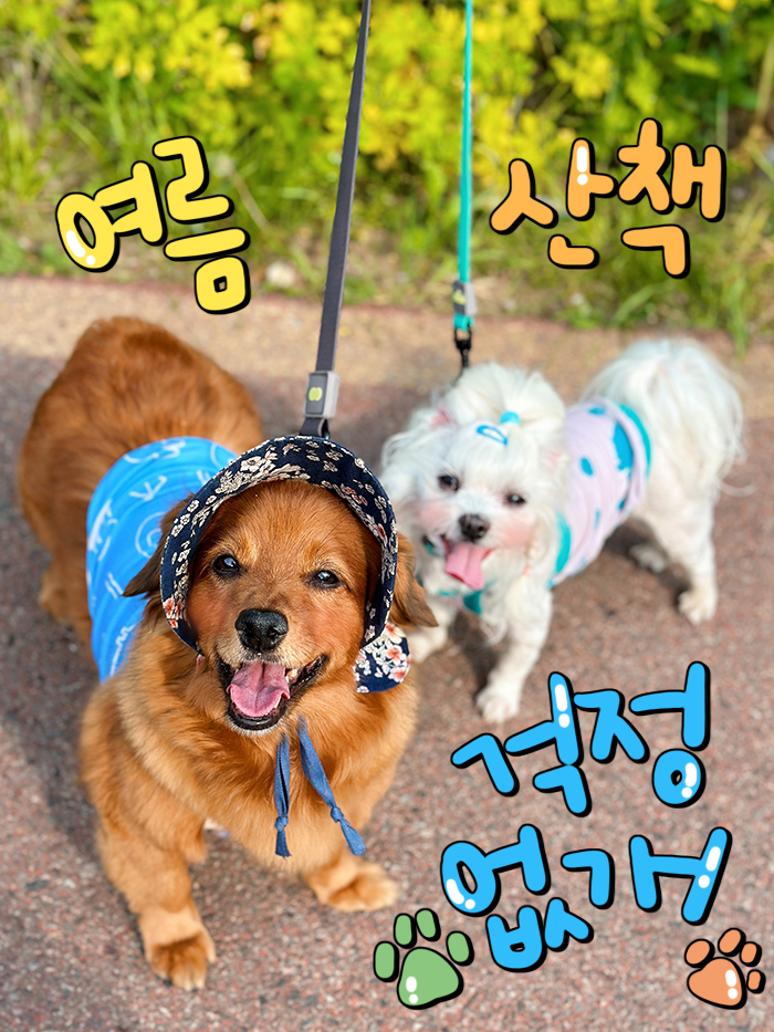 강아지 여름옷 : 해충방지 & 시원한 쿨나시 뮤니쿤트 버그가드