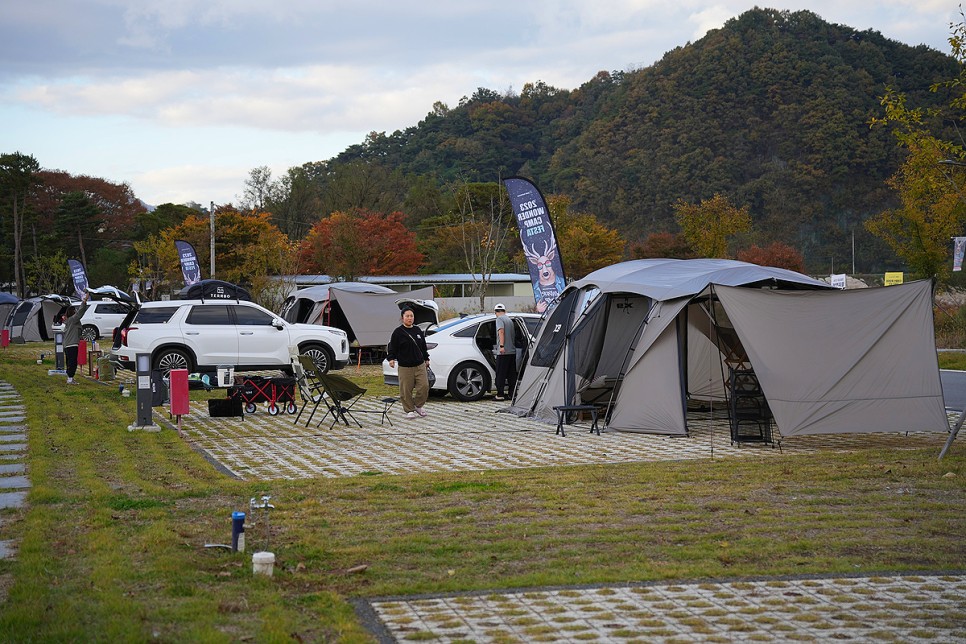 제3회 카즈미 원더캠프 페스타 캠핑후기 in 충주 목계솔밭 캠핑장