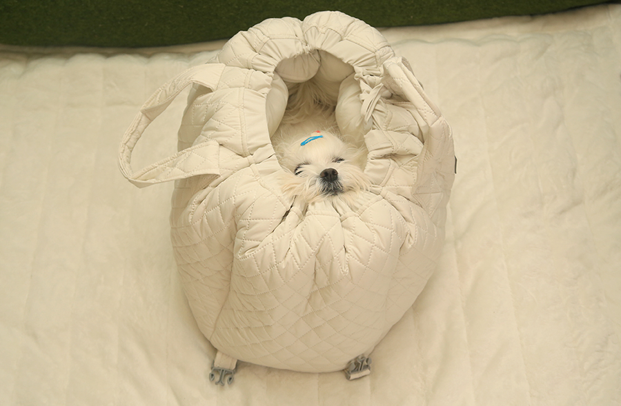 강아지 카시트, 편하고 안전한 초코펫 애견 차시트