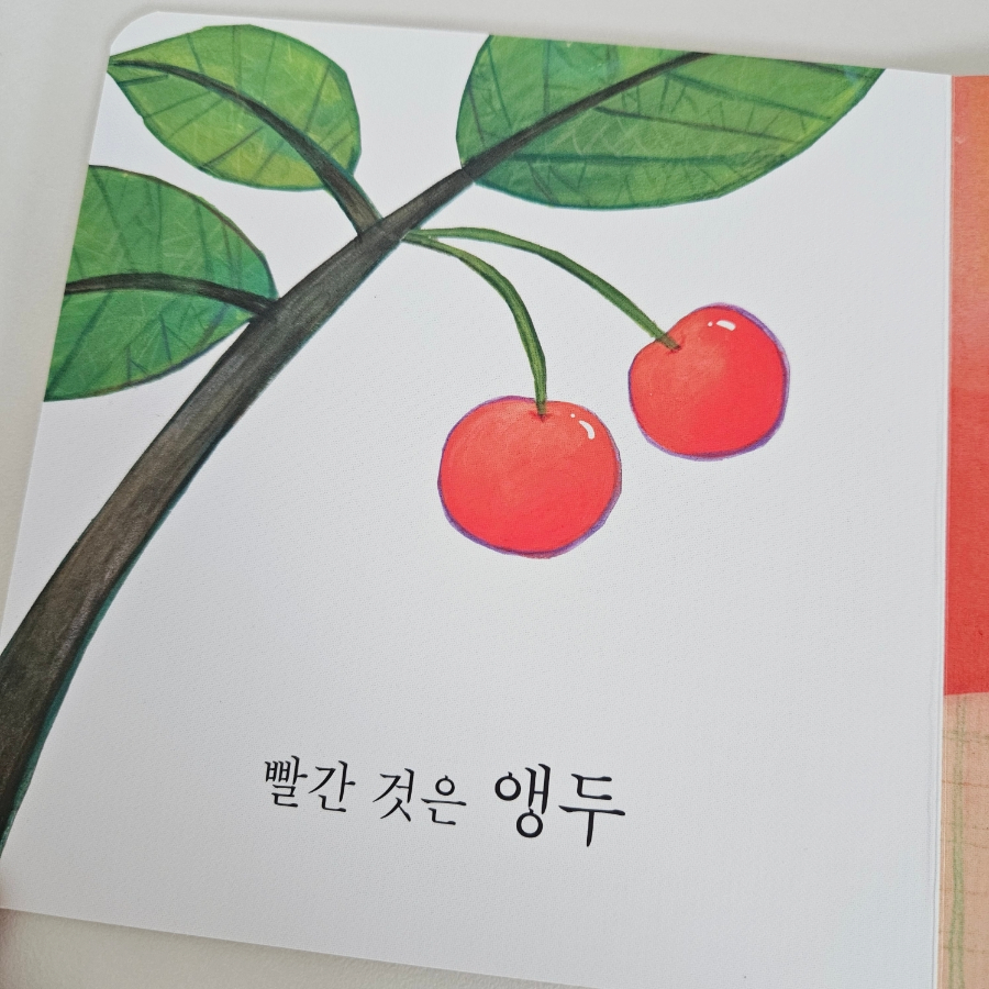 사랑둥이 아기 그램책, 12개월 아기 책, 첫돌 선물 추천