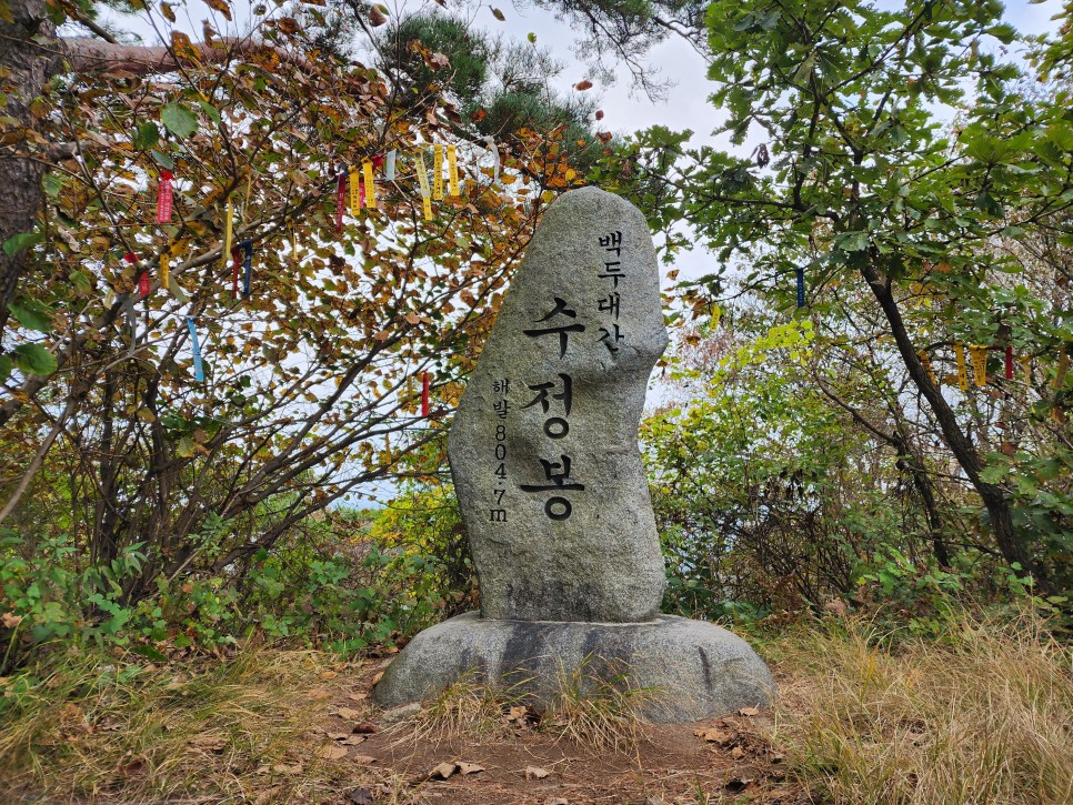 백두대간 35구간(여원재-수정봉-지리산 고리봉-정령치-만복대-성삼재) 산행('23.10.15)