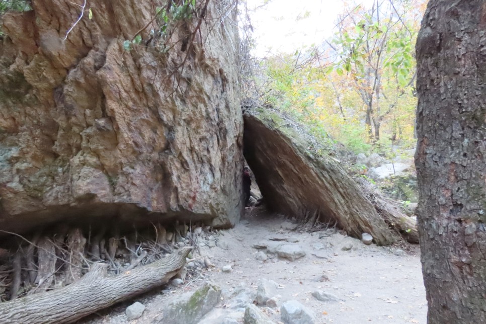 [설악산국립공원] 암봉과 기암 그리고 단풍이 어우러진 오색 주전골 탐방