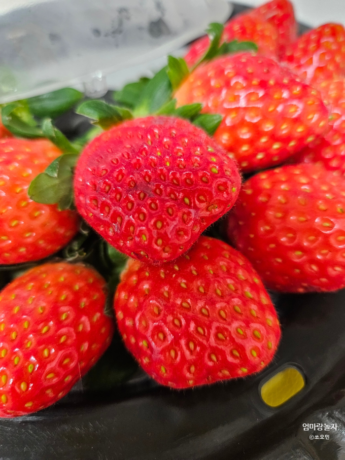 [육아소통] 겨울 제철 과일 딸기 사주세요?!