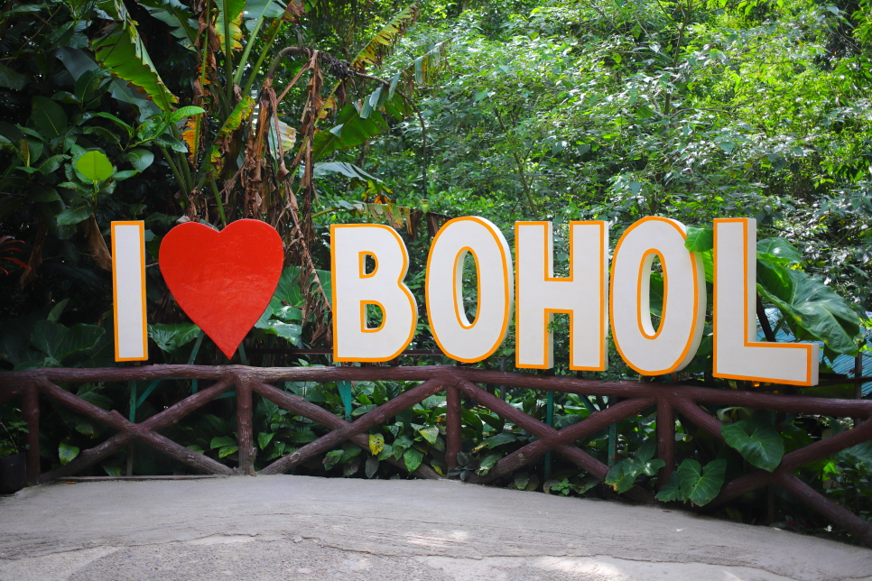 필리핀 보홀 자유여행 로복강 안경원숭이 단독 보홀 육상투어 가격
