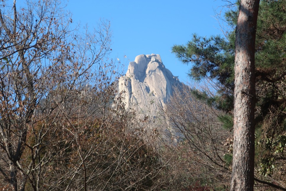 가을의 끝자락, 겨울의 시작이었던 도봉산 등산코스 풍경