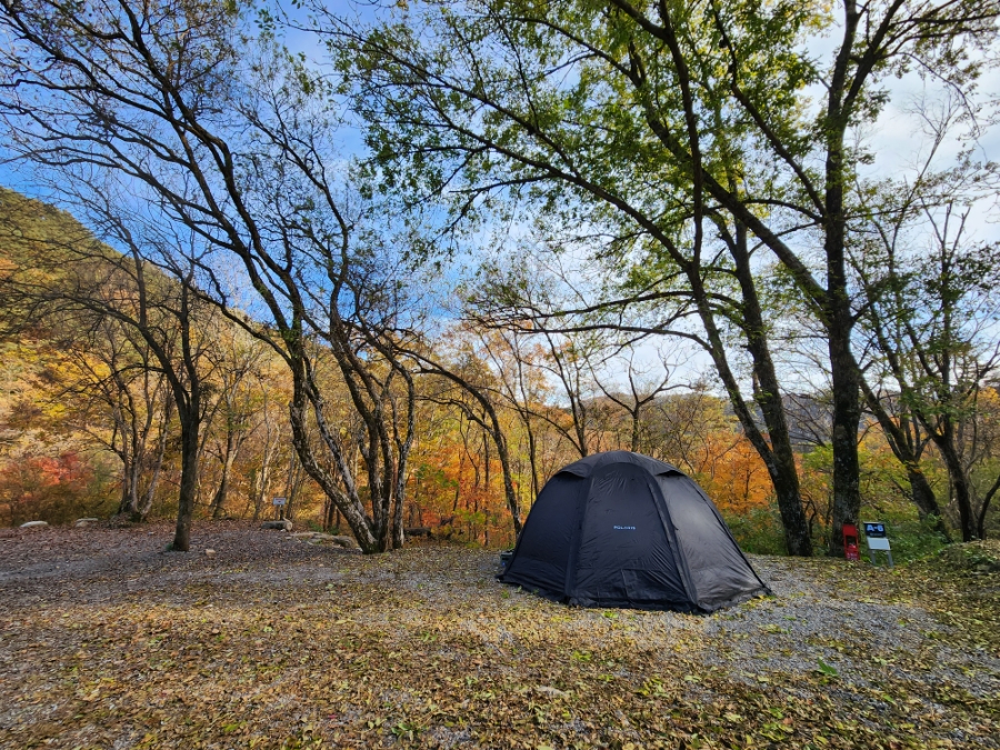 폴라리스 P1 TPU 쉘터 텐트 동계 캠핑 준비물 풀 플라이 그라운드시트