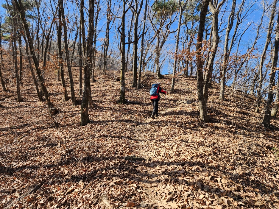 백두대간 28구간(괘방령-황악산-우두령-석교산-푯대봉-삼마골재) 산행('22.11.27)