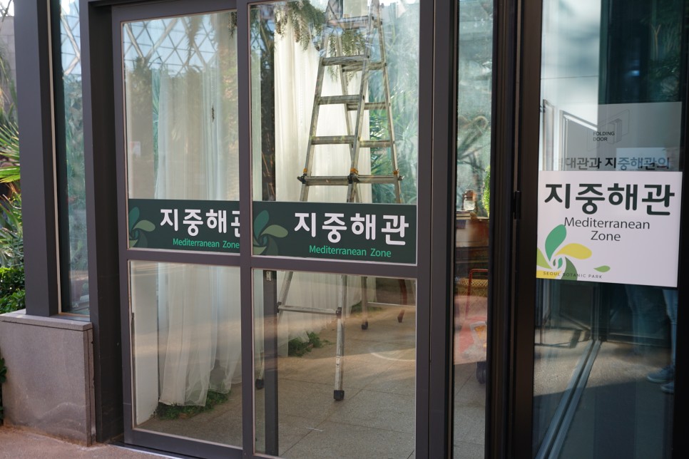 서울 마곡나루역 서울식물원 겨울철 실내 데이트 코스로 좋네요!