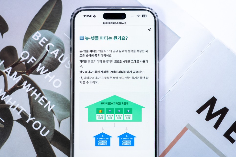 넷플릭스 계정 공유 금지 한국 멤버십 가격인상 대처 방법은