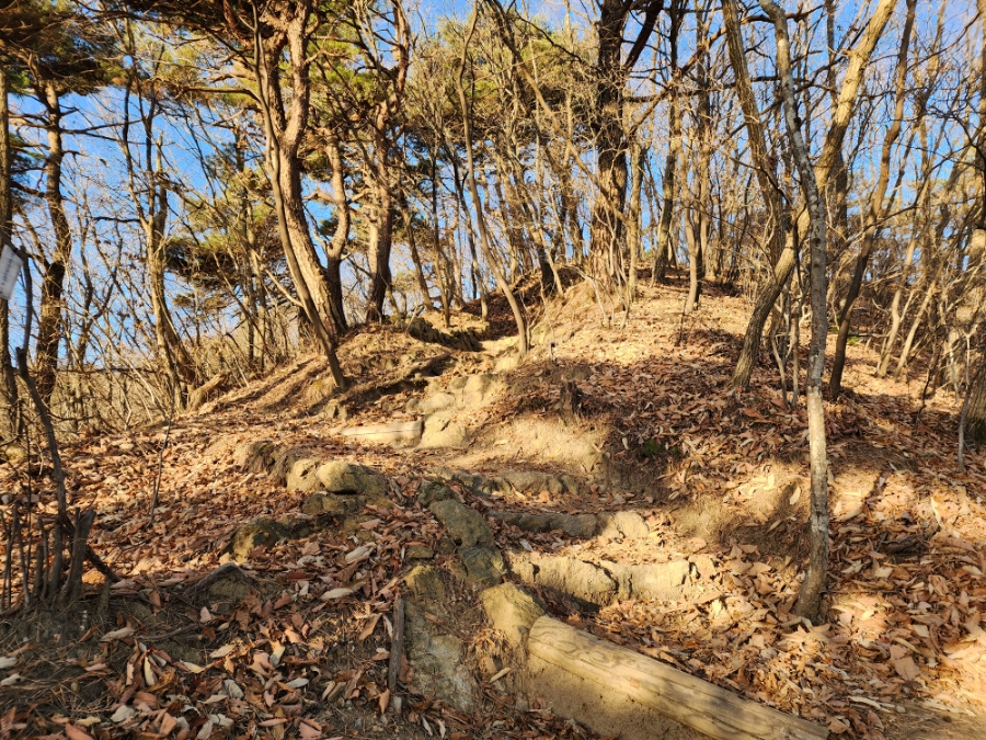 백두대간 28구간(괘방령-황악산-우두령-석교산-푯대봉-삼마골재) 산행('22.11.27)