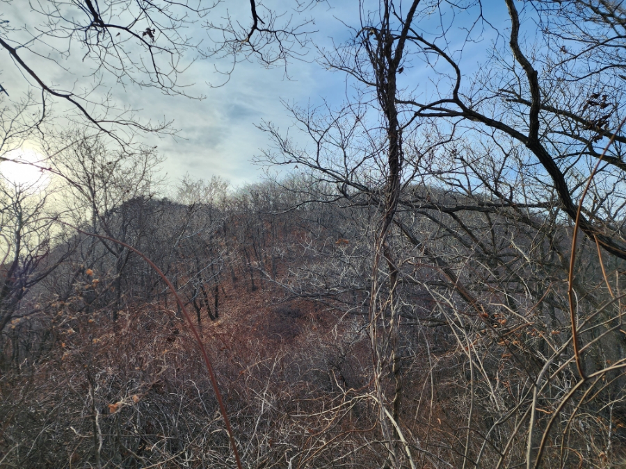 백두대간 28구간(괘방령-황악산-우두령-석교산-푯대봉-삼마골재) 산행('22.11.27)