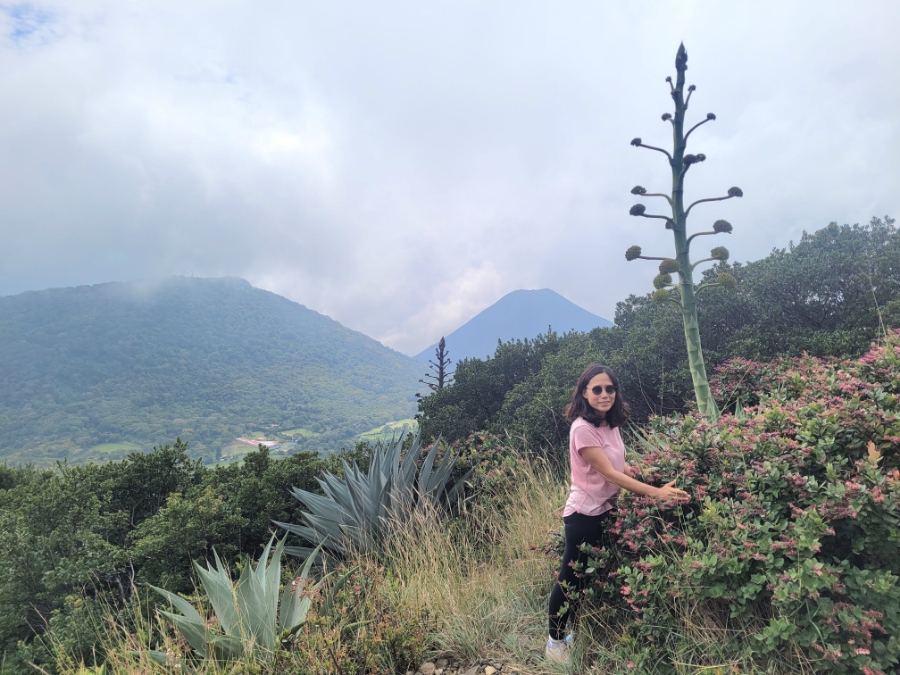 엘살바도르 여행 치안 산타아나 cerro verde 화산 트레킹