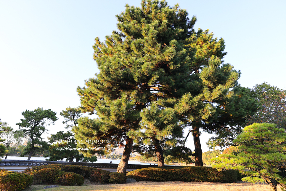 후쿠오카 공원 가볼만한곳 오호리 공원 일본 정원