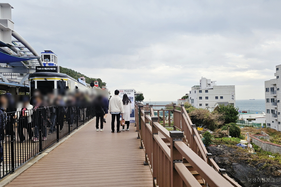 부산 가볼만한곳 해운대 해변열차 블루라인파크 부산 핫플