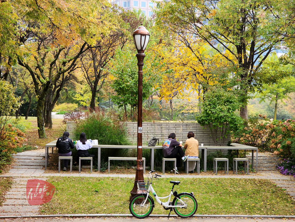 여의도가볼만한곳 가을 단풍 든 서울걷기좋은길 여의도공원