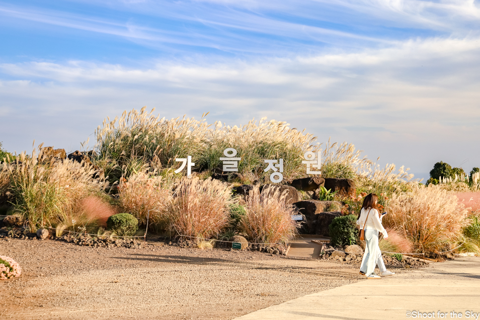 제주도 지도 다양한 놀거리 체험 핫플 관광 제주 아이와 가볼만한곳