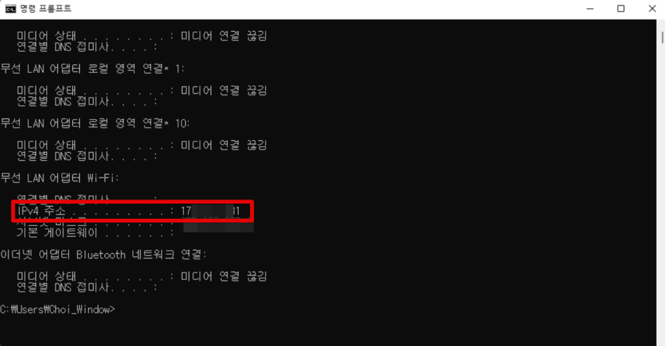 컴퓨터 내 IP 주소 확인 방법, 윈도우 맥 모두 알아보기