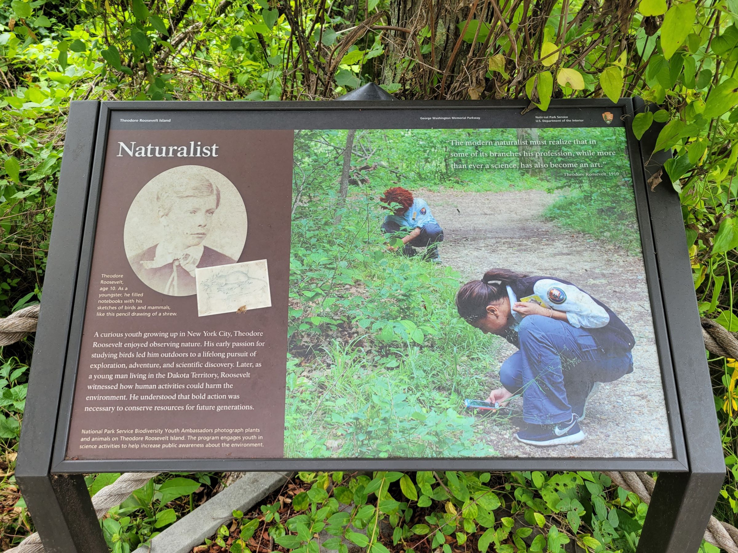 자연보호에 기여한 대통령을 기리는 국가기념물인 시어도어루즈벨트 섬(Theodore Roosevelt Island)
