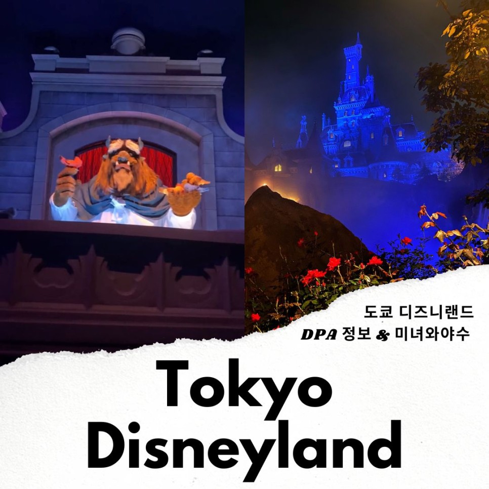도쿄 자유여행 도쿄 디즈니랜드 티켓 dpa 미녀와야수 꿀팁