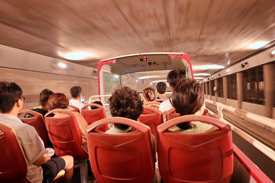 마카오 여행 나이트 야경 투어 분수쇼 쉽게 보는 방법 오픈탑 버스 후기