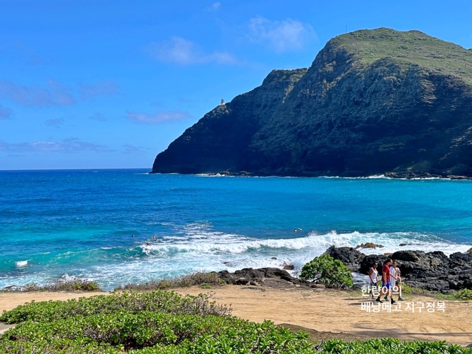 하와이 자유여행 와이키키 트롤리 노선 블루라인할인쿠폰