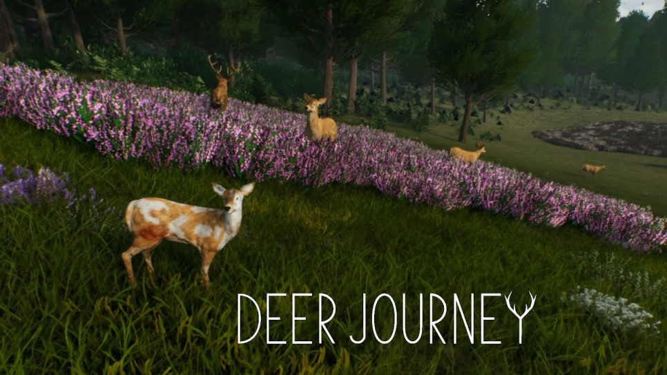 디어 저니 (deer journey)