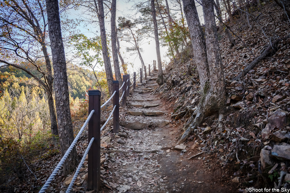 대전 가볼만한곳 장태산 자연휴양림 핫플 산책로 단풍 명소 놀곳