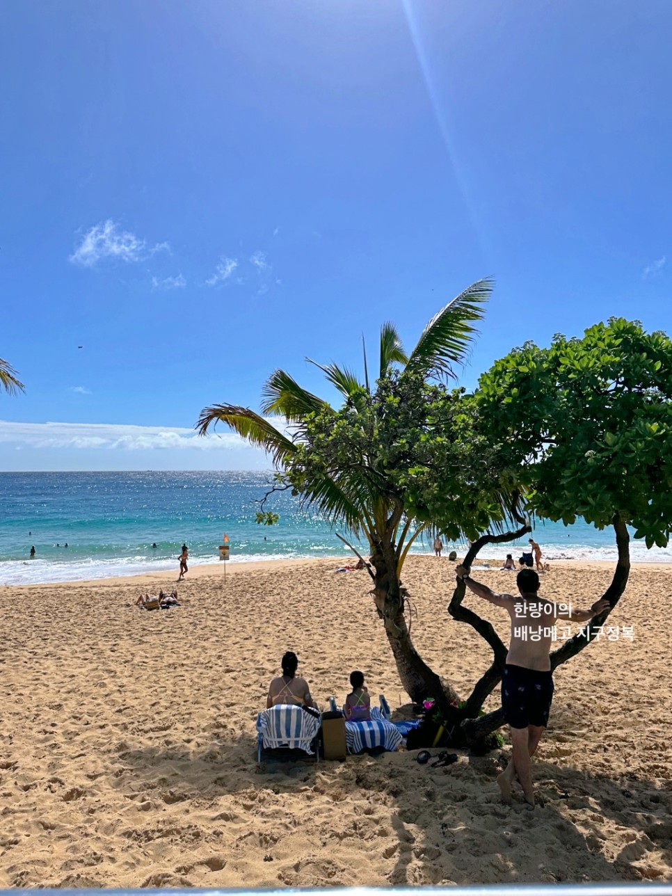 하와이 자유여행 와이키키 트롤리 노선 블루라인할인쿠폰