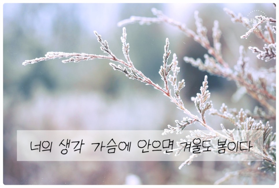12월 1월 좋은글 좋은시 나태주 안도현 사랑시 겨울시 겨울 관련 시 추천 20가지