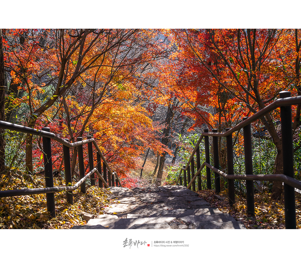 충남 여행 공주 데이트 공주 갑사