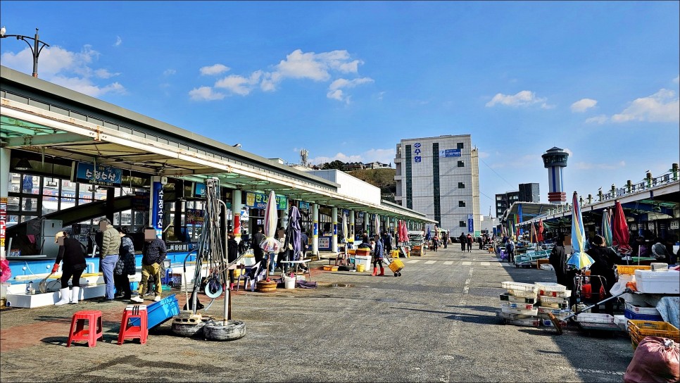 동해안 여행 가볼만한곳 묵호항 수산시장 활어센터 묵호시장 동해 여행!