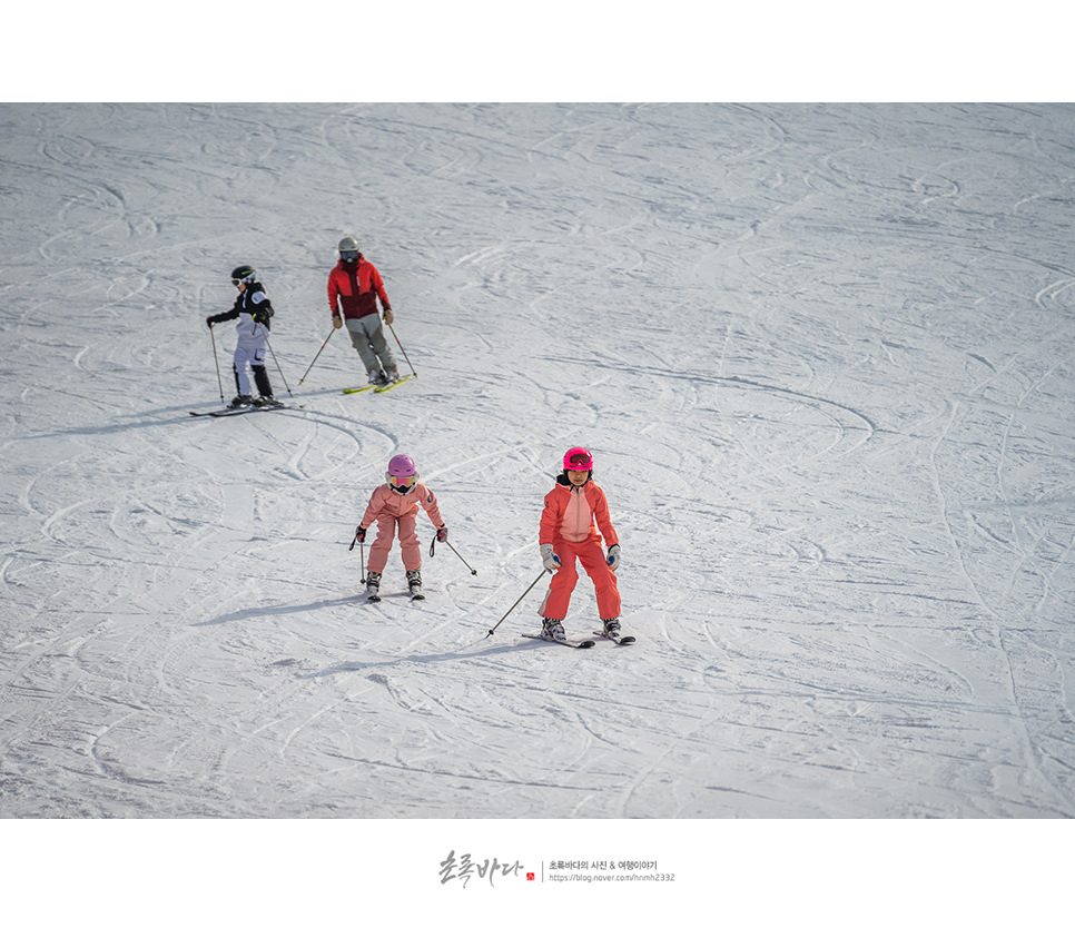 홍천 비발디파크 스키강습 어린이 스키강습
