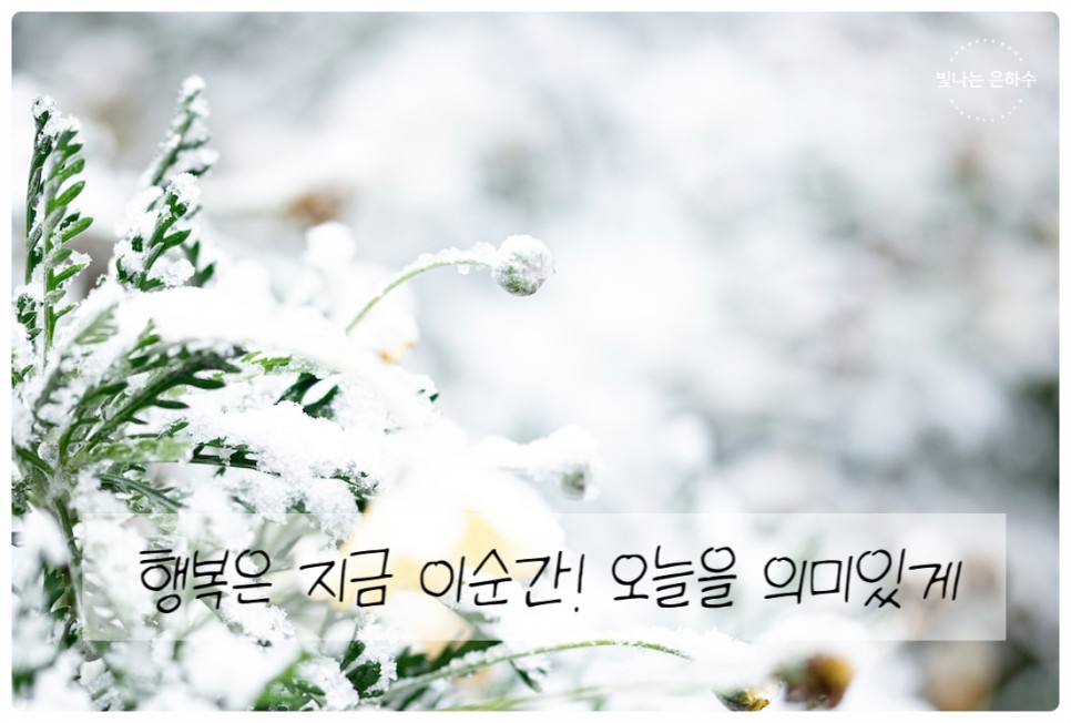 12월 1월 좋은글 좋은시 나태주 안도현 사랑시 겨울시 겨울 관련 시 추천 20가지