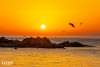 동해바다 경주 바다 가볼만한곳 문무대왕릉 아침 일출 풍경 새해 해돋이 명소 추천