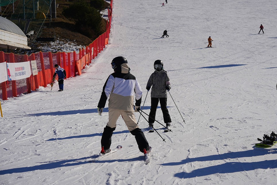 홍천 비발디파크 스키강습 체계적인 스키장 어린이스키강습 후기
