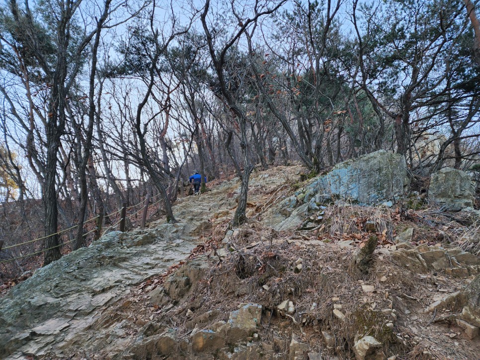 경기 수리산-너구리산(서래봉) 산행 ('23.12.03)