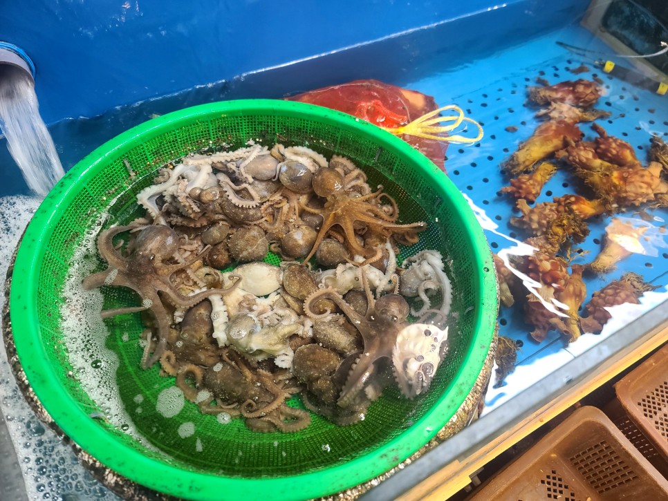 구리수산시장 푸짐한 대방어를 먹을 수 있는 선도유통