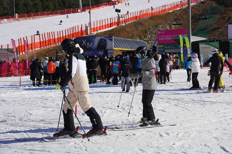 홍천 비발디파크 스키강습 체계적인 스키장 어린이스키강습 후기