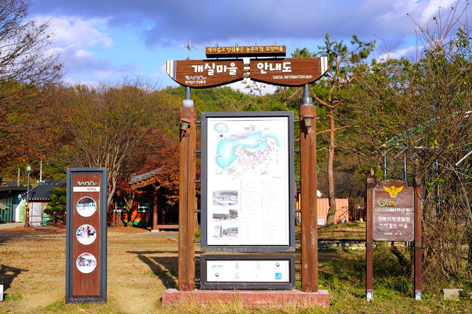 경북 고령 가볼만한곳 대구근교 나들이 고령 고분군 대가야박물관 족카페