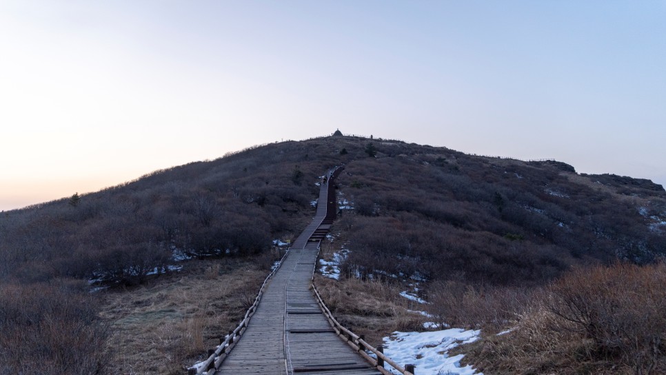 [지리산국립공원] 2번의 도전 끝에 성공한 노고단 산행기