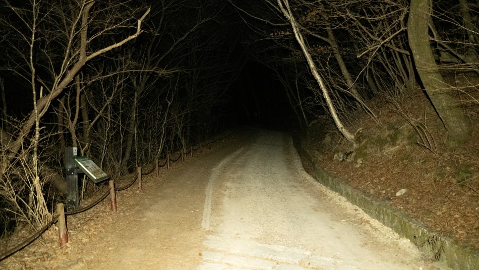 [지리산국립공원] 2번의 도전 끝에 성공한 노고단 산행기