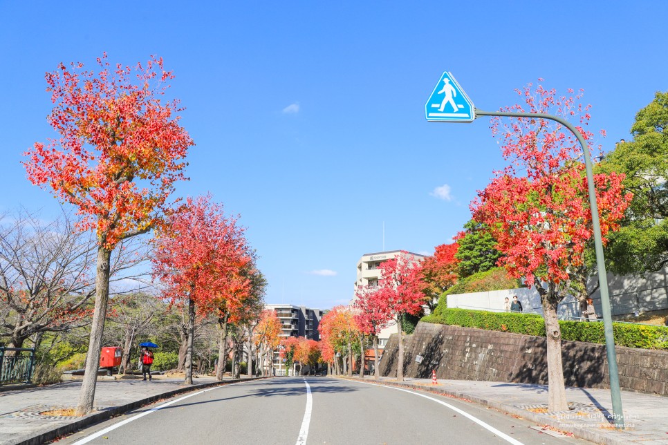 일본 여행지 추천 지역 12월 일본 여행 날씨 옷차림 오사카 도쿄 삿포로 후쿠오카