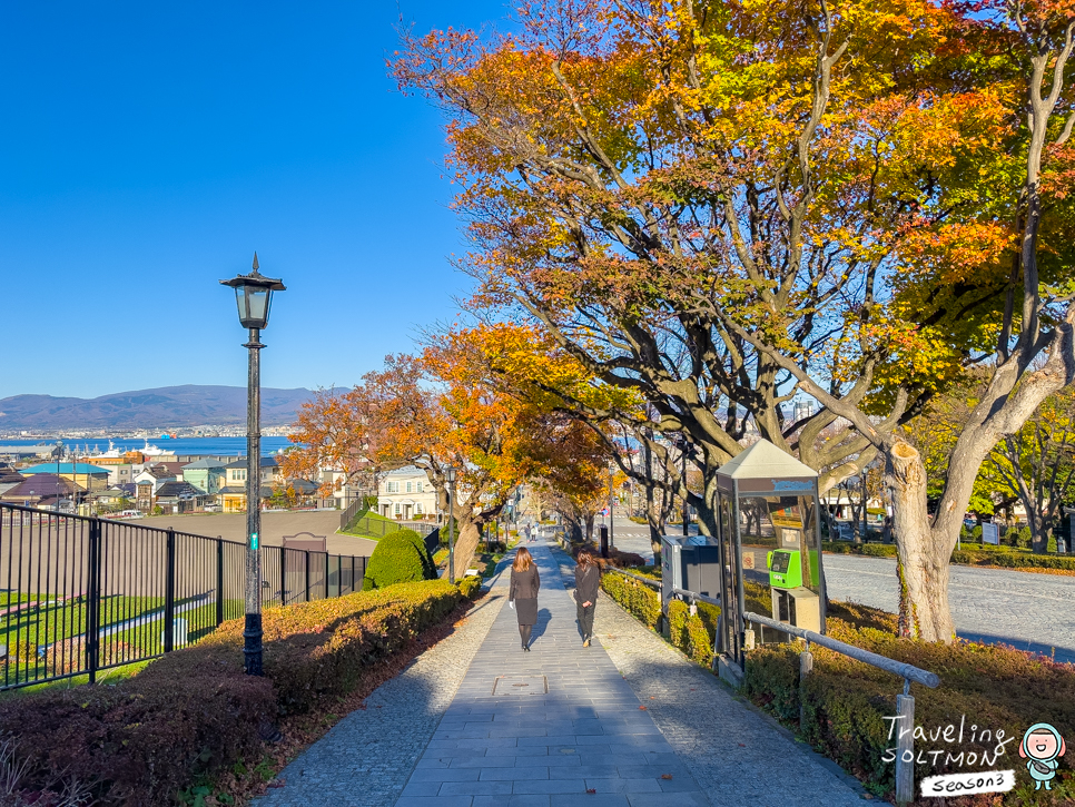 일본 홋카이도 여행 가볼만한곳 가을 단풍 삿포로 오타루 하코다테