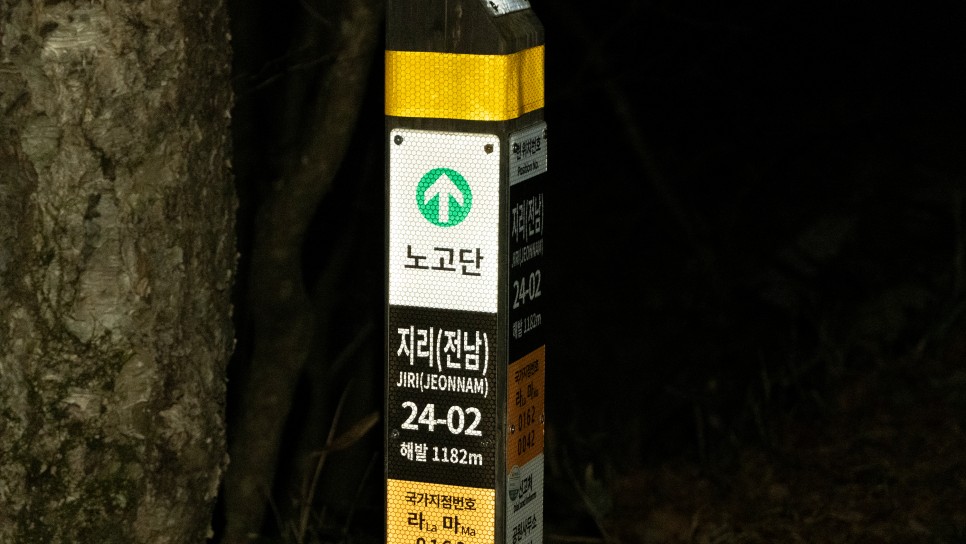 [지리산국립공원] 2번의 도전 끝에 성공한 노고단 산행기