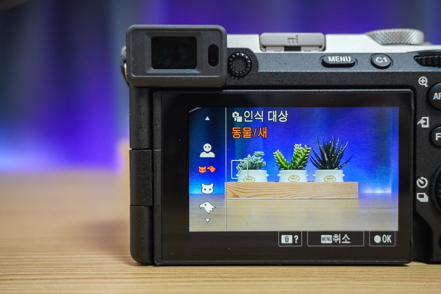 겨울여행 아이템 추천 소니 A7C2 풀프레임 미러리스 입문용 브이로그 카메라
