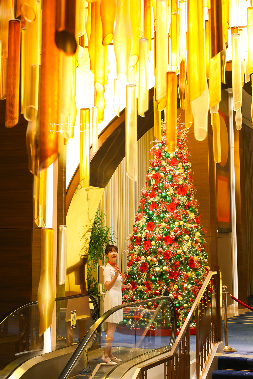 필리핀 마닐라 크리스마스여행 갈만한곳 솔레어호텔 크리스마스 트리 점등식