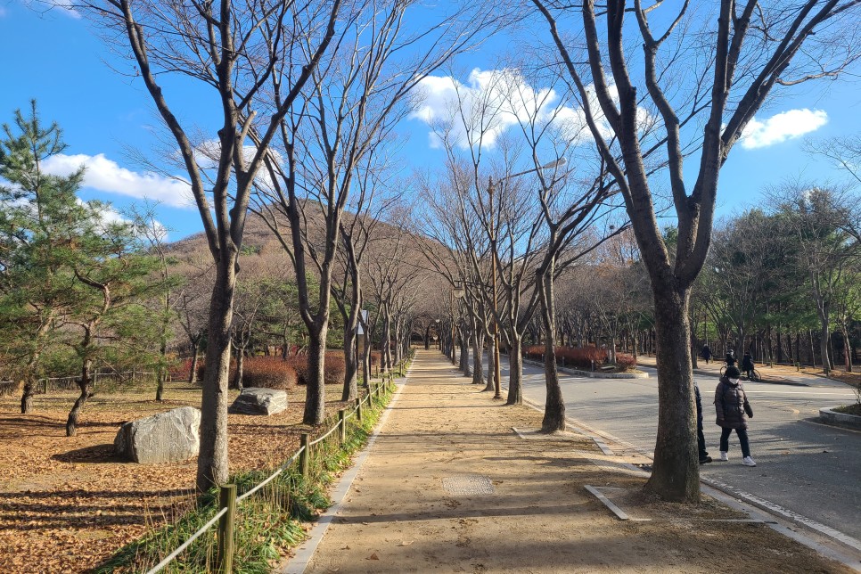 주말 인천대공원 겨울 나들이, 인천대공원호수, 조각공원까지 둘러보고 왔어요~