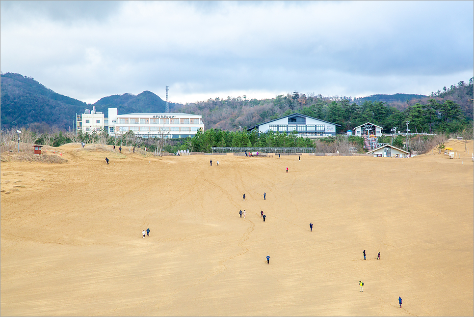 돗토리 사구 모래 미술관 가는법 돗토리 여행 일본여행지추천