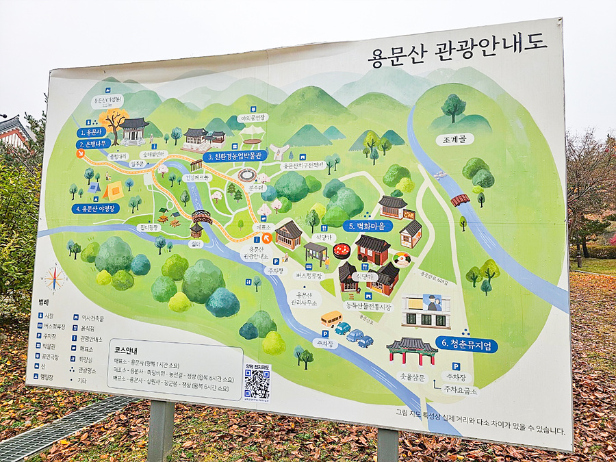 경기도 단풍명소 양평 용문산 관광단지 단풍 양평 용문사 은행나무